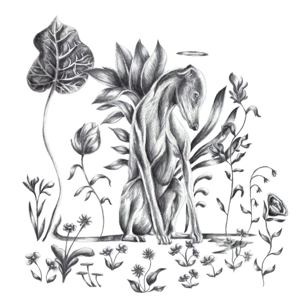 Greyhound in the Garden 8x8 in