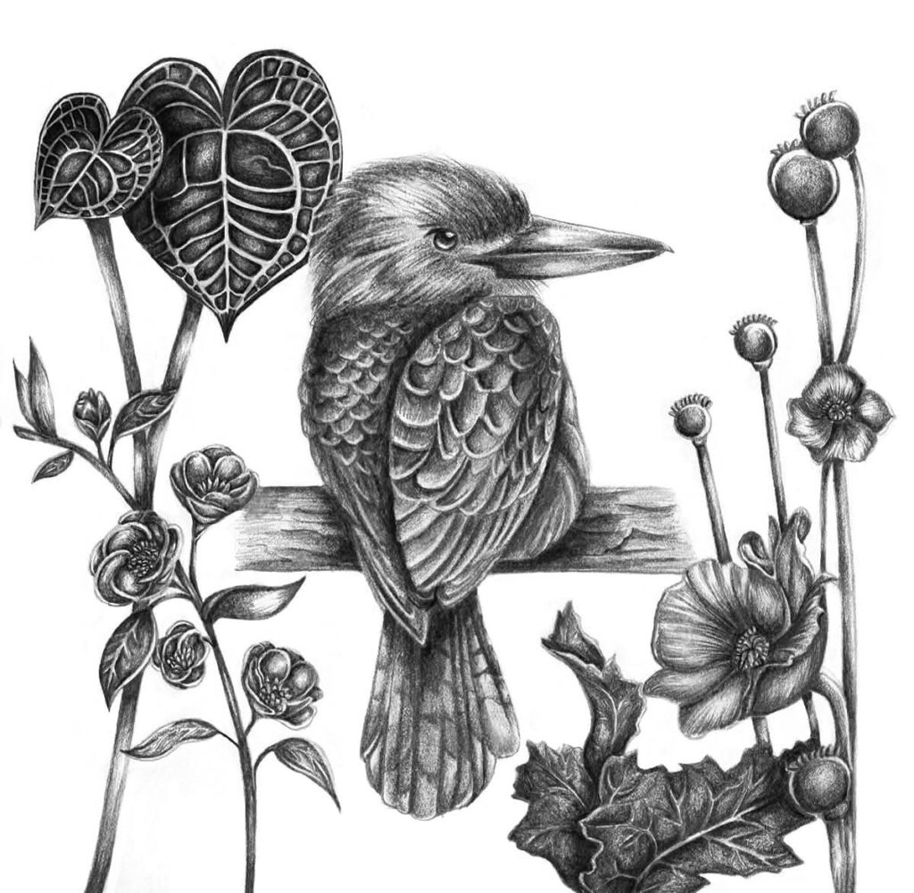 Kookaburra in the Garden 8x8 in