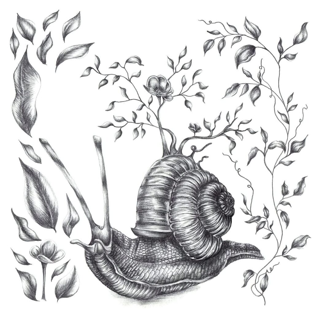 Snail in the Garden 8x8 in